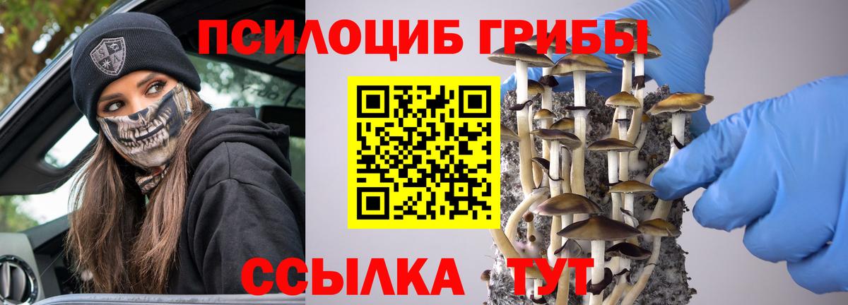 Псилоцибиновые грибы Psilocybe  Вход с VPN  Мурино 